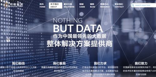 提供技術(shù)分析和應(yīng)用解決方案,明略數(shù)據(jù)要成為中國(guó)大數(shù)據(jù)分析應(yīng)用解決方案的獨(dú)角獸